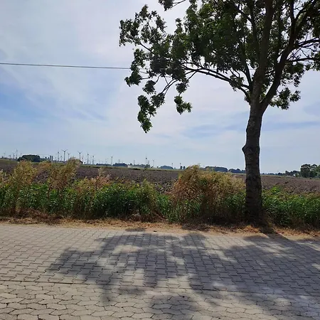 Apartman Schwalbennest Dornum